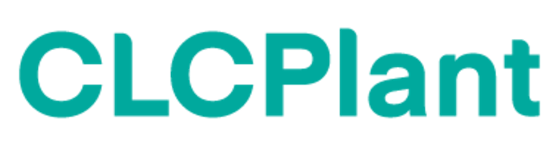 Solución Completa para Planta de Bloques de Hormigón Celular CLC